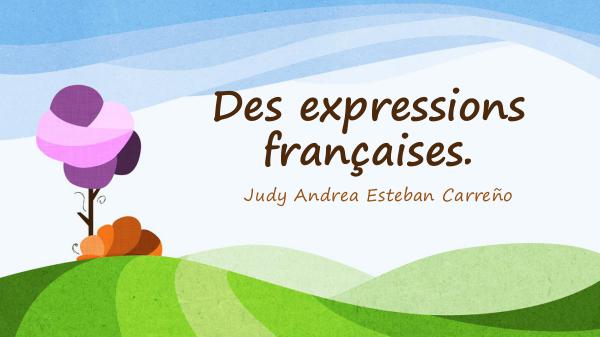 Des expressions courantes en français. Des expressions françaises