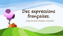 Des expressions courantes en français.