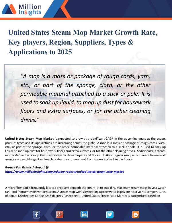 United States Steam Mop Market Growth Rate 2025