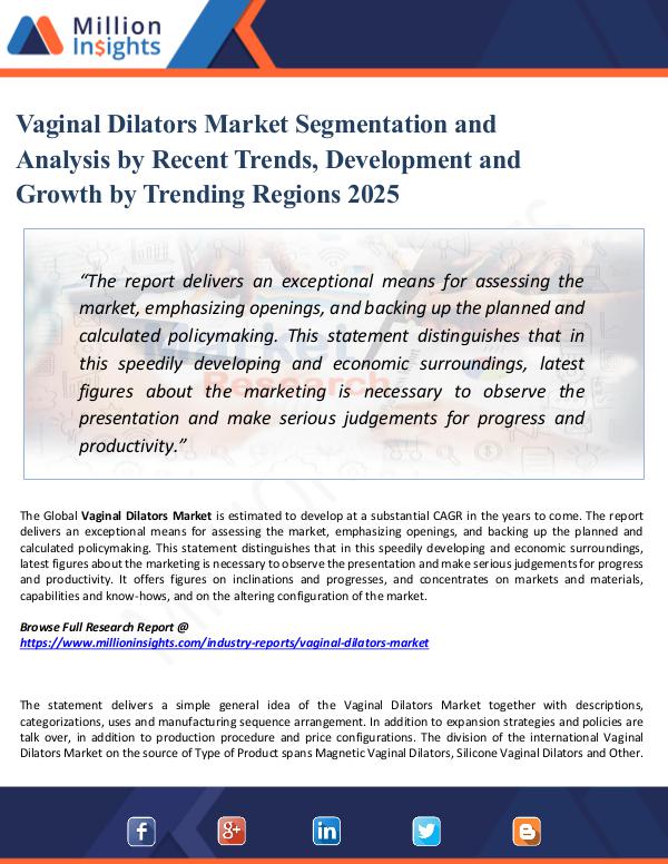 Vaginal Dilators Market Segmentation and Analysis