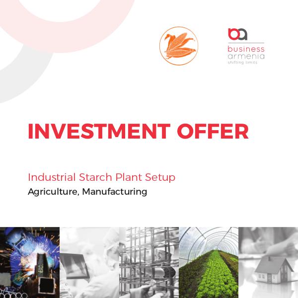 Investment Projects, Business Armenia Latar Starch