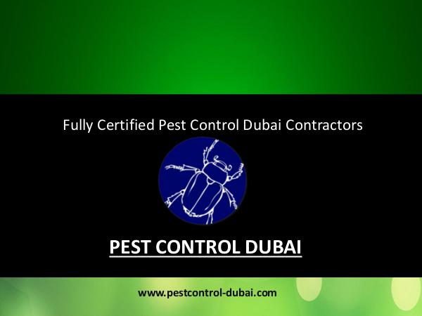 Pest Control Services Dubai Pest Control Dubai