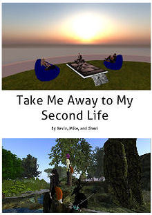 Second Life Areas of Interest