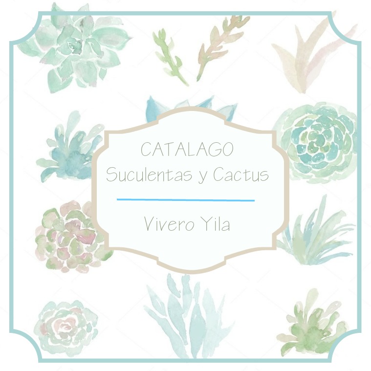 Cactus y Suculentas Jardín Yila