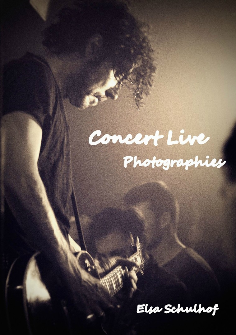 Concert Live Photographies Photos de concerts artistes rock pop variété