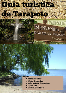 Viaje de estudios Tarapoto