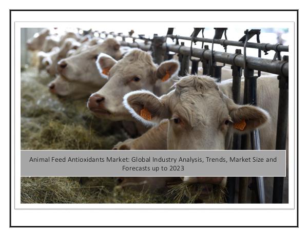 Animal Feed Antioxidants Market