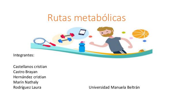 fisiologia Rutas metabólicas
