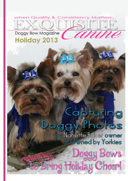 Exquisite Canine by Doggy Bow - Holiday 2013