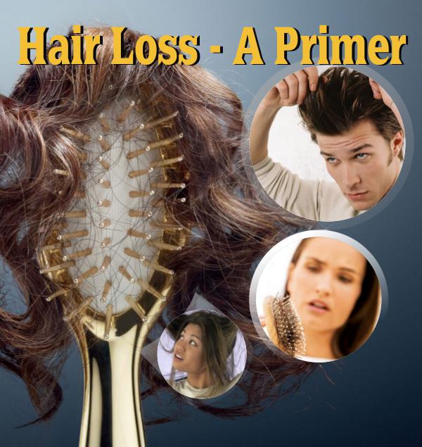 Regrow Hair Protocol PDF / Book, eBook Free Download David ...