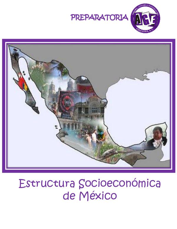 4. Estruct. Socioeconómica de México NPE Estructura Socio Economica de Mexico