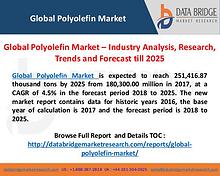 Global Polyolefin Industry Analysis and Forecast 2025