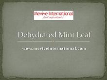 dehydrated mint leaf powder and whole supplier and exporter
