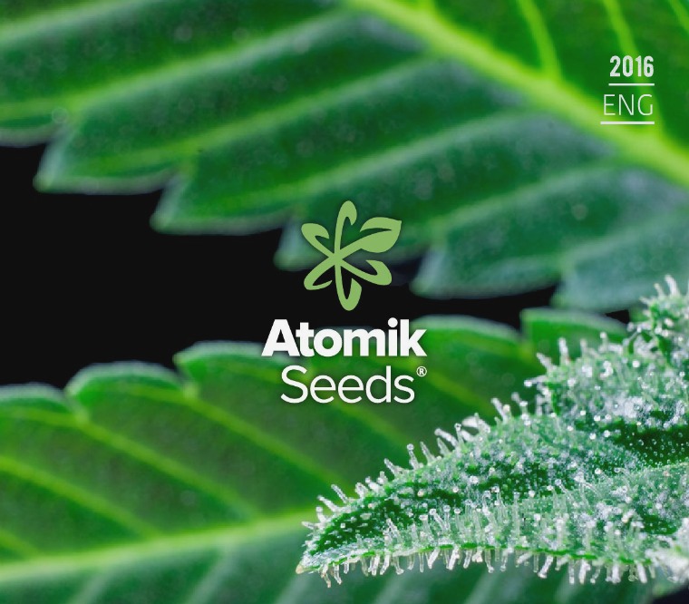 Atomik Seeds quality marijuana seeds Atomik Seeds quality marijuana seeds