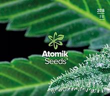 Atomik Seeds graines de cannabis féminisées et autofloraison