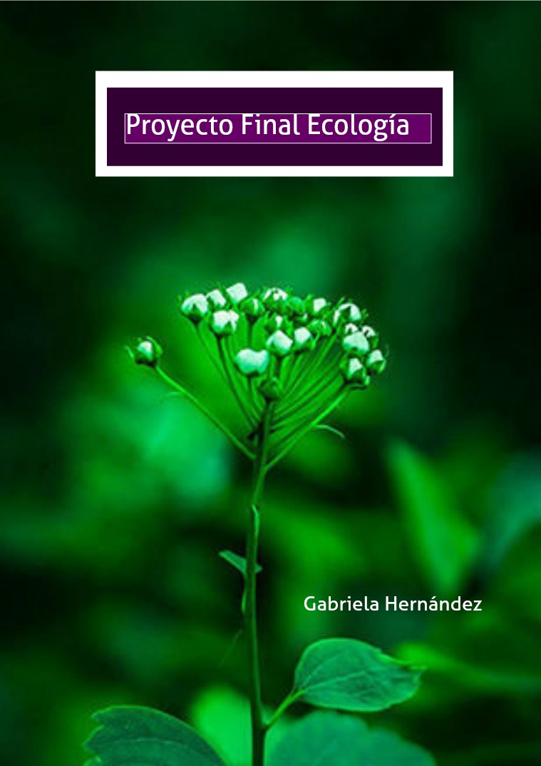 Proyecto de Ecología Vol 1