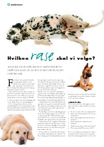 Artikler fra Hund & Fritid Tekst: Nina Østli, kennel Oxzar Vol. 3
