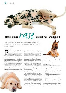 Artikler fra Hund & Fritid Tekst: Nina Østli, kennel Oxzar