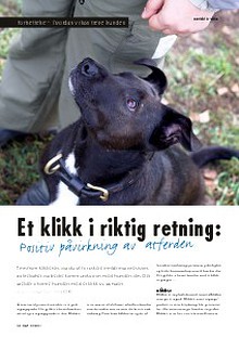 Artikler fra Hund & Fritid Tekst: Nina Østli, kennel Oxzar