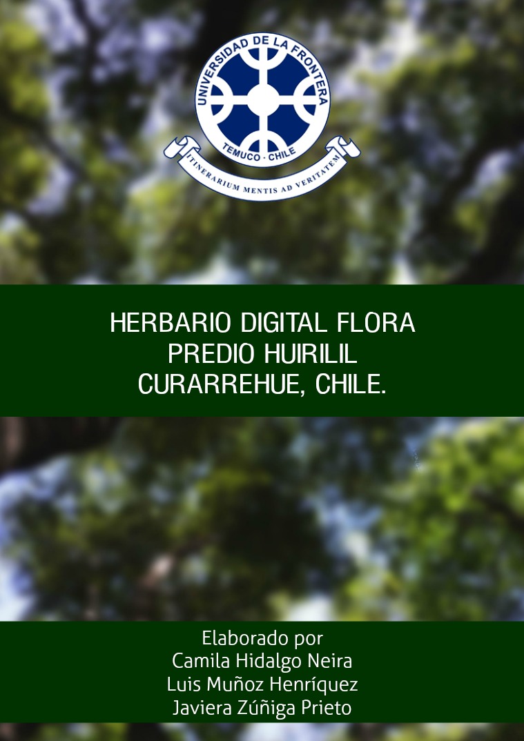 Herbario digital Predio Huirilil 1