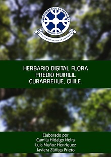 Herbario digital Predio Huirilil