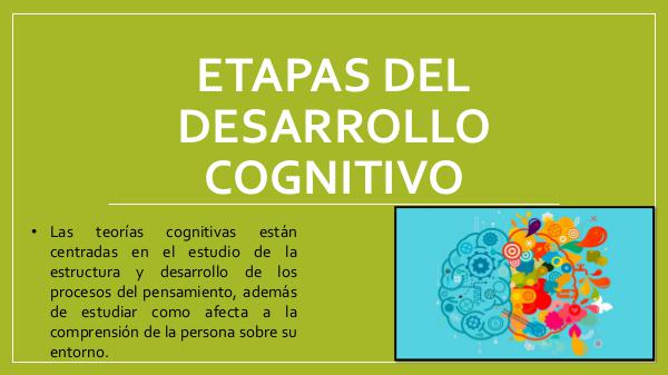 Etapas del Desarrollo Cognitivo ETAPAS DEL DESARROLLO COGNITIVO