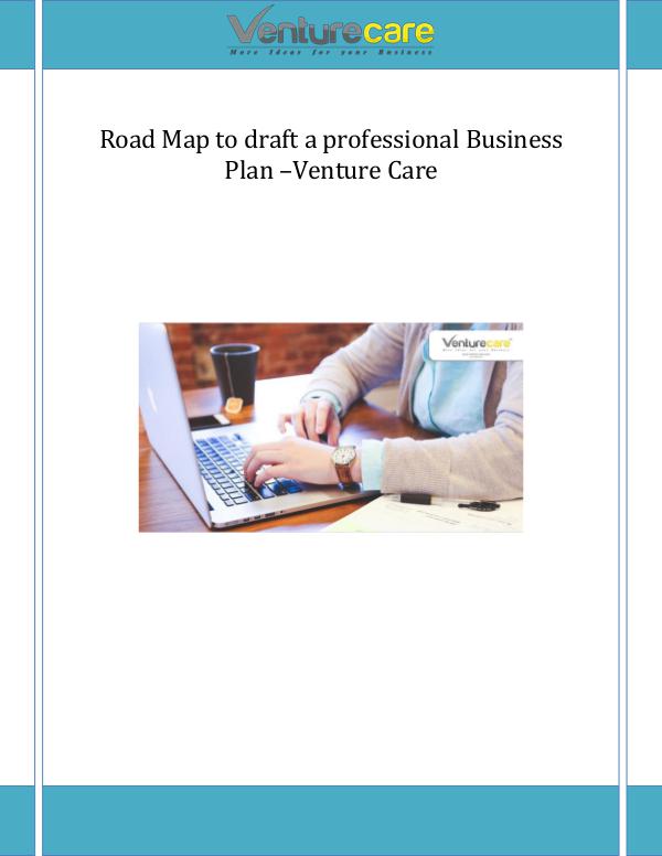 Road Map to draft a professional Business Plan –Venture Care Road Map to draft a professional Business Plan –Ve