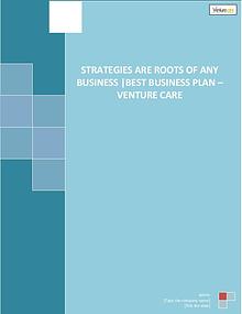 Strategies Are Roots of Any Business Best Business Plan – Venture Car