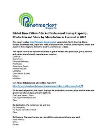 Global Knee Pillows Market Professional Survey Manufacturers Forecast
