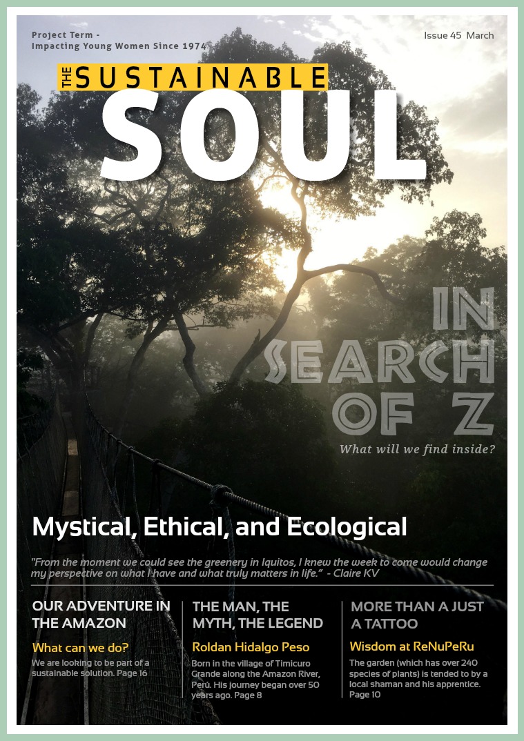 Z 2018 In Search of the Sustainable Soul