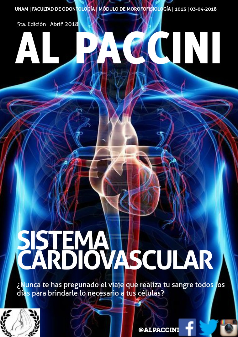 AL PACCINI 4 Sistema cardiovascular