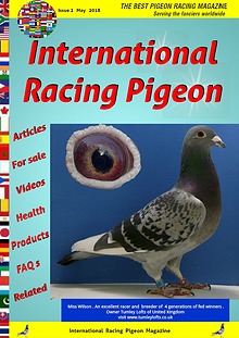 International Racing Pigeon