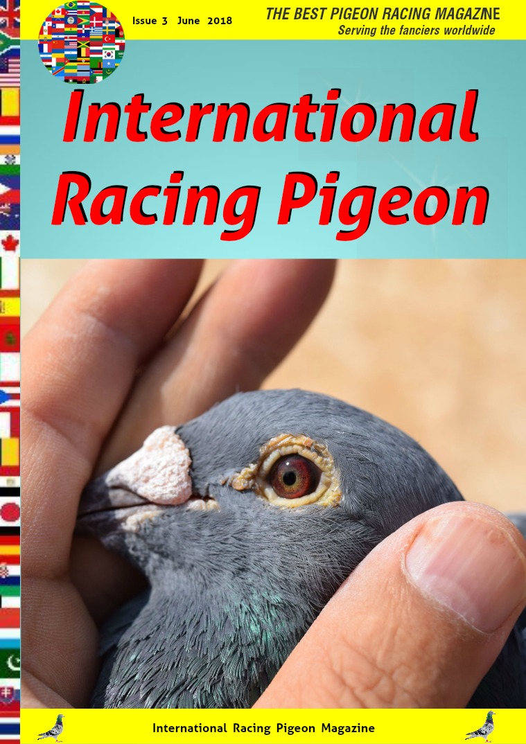 International Racing Pigeon Issue nr 3 . June  2018