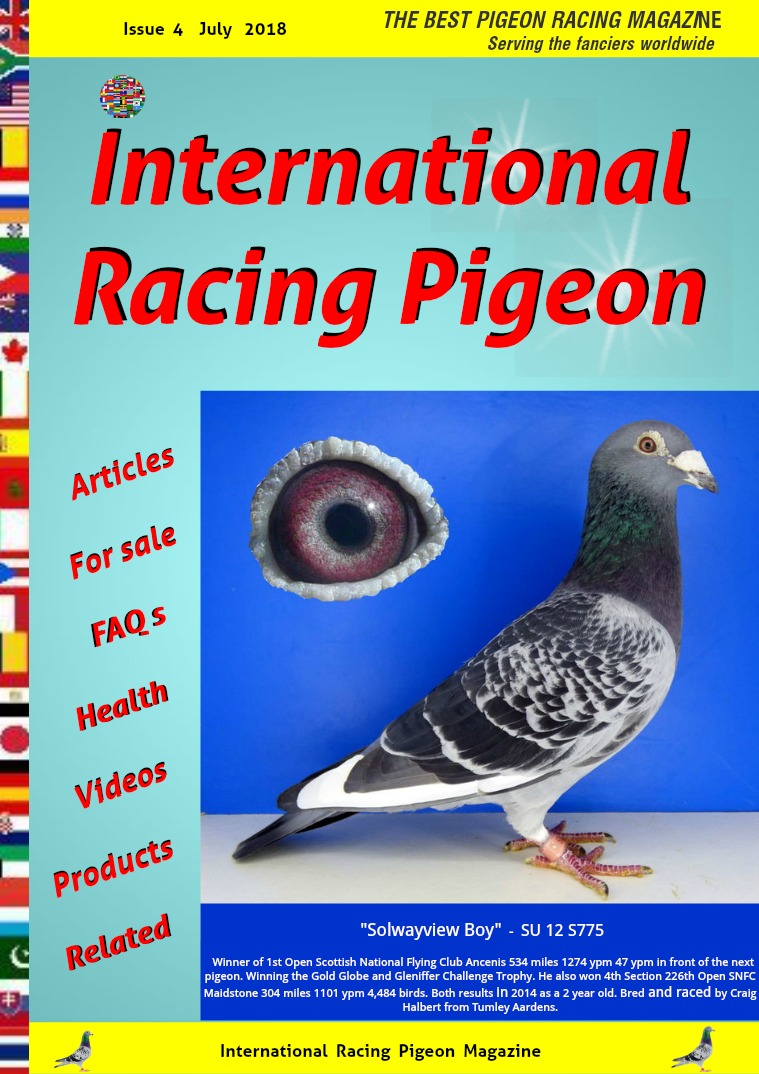International Racing Pigeon Issue nr 4 . July  2018