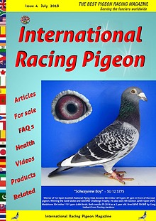 International Racing Pigeon