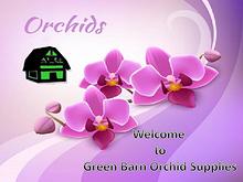 Best Orchid Supplies in Florida