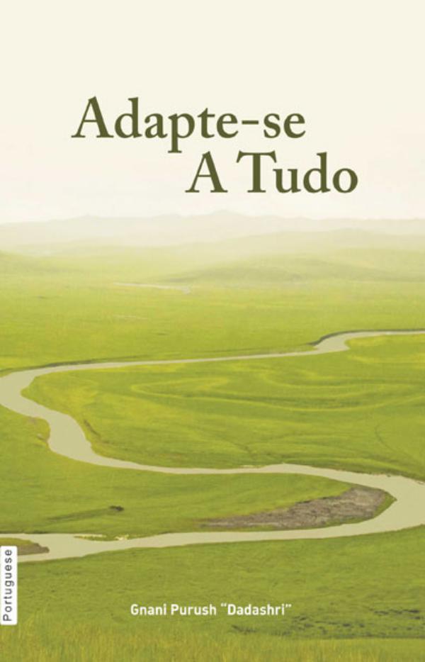 Adjust Everywhere (In Portuguese) Adjust Everywhere (In Portuguese)