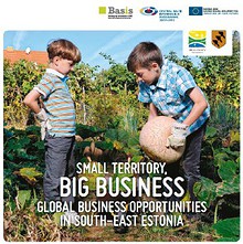 Small Territory, Big Business. Global Business Opportunities in South-East Estonia