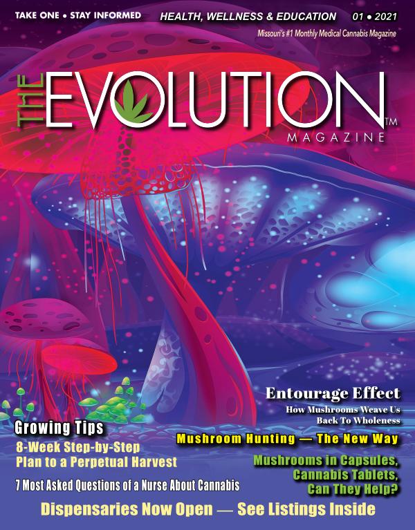 The EVOLUTION Magazine January 2021