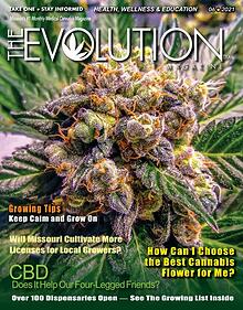 The EVOLUTION Magazine