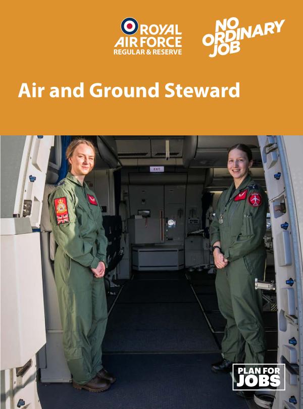 Logistics Air and Ground Steward