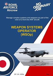 Weapons Systems Operator (WSOp)