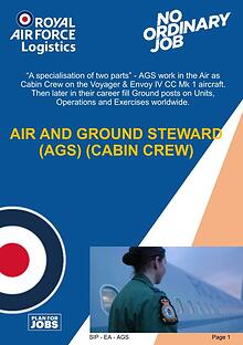 Air and Ground Steward