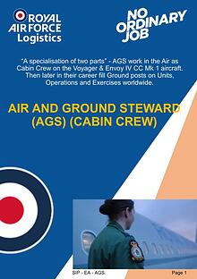 Air and Ground Steward