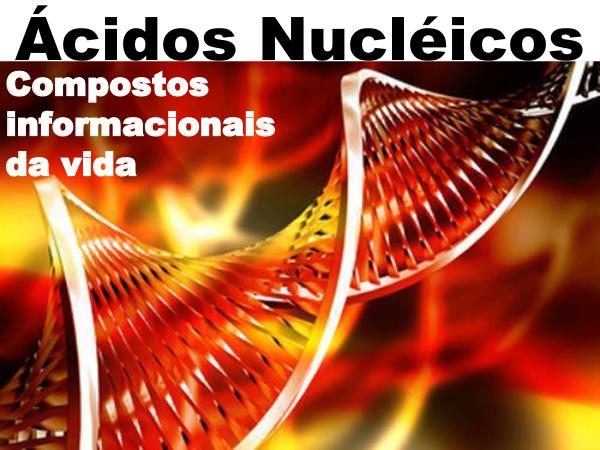 Ácidos Nucléicos - Replicação - Transcrição - Tradução ÁCIDOS NUCLÉICOS, REPLICAÇÃO, TRANSCRIÇÃO E TRADUÇ