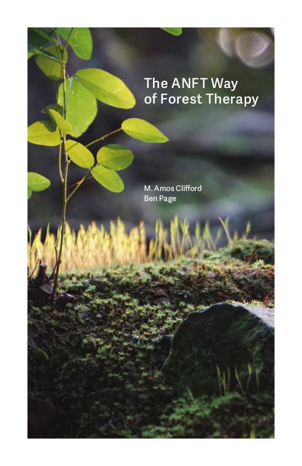 The ANFT Way of Forest Therapy