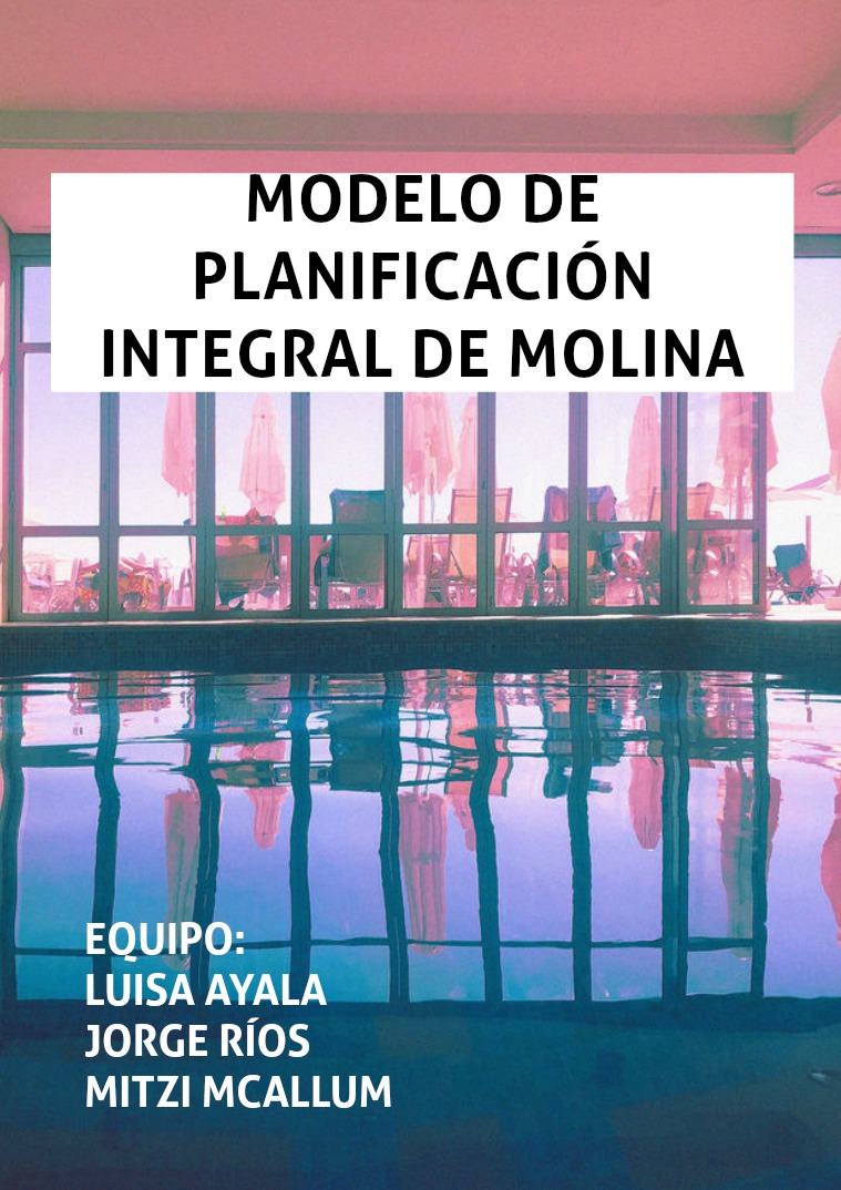 Modelo de planificación integral de Molina 1