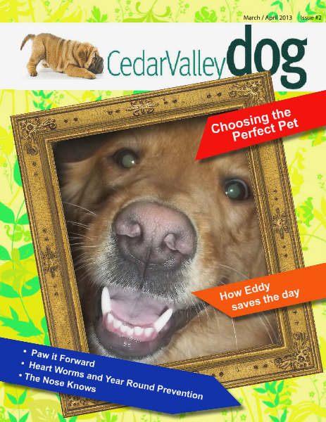 Cedar Valley Dog March/April 2013  Issue #2