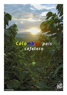 EL CAFE EN COLOMBIA