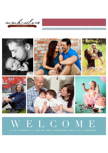Welcome to Sarah Silver Photography Feb 2014
